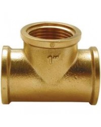 OTTONE GIALLO : TES 1/2